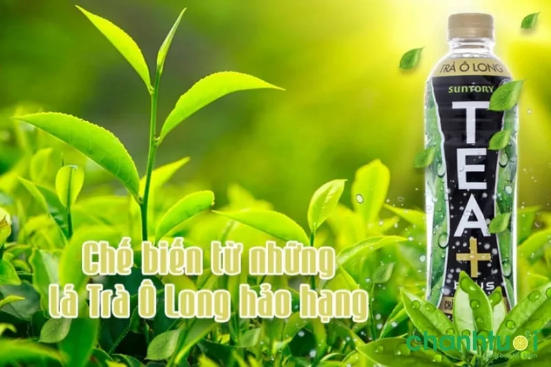 Trà Ô Long Tea Plus - thùng 24 chai 350ml