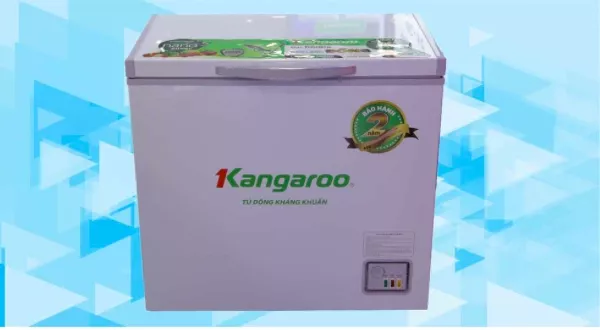 Tủ đông Kangaroo KG265NC1