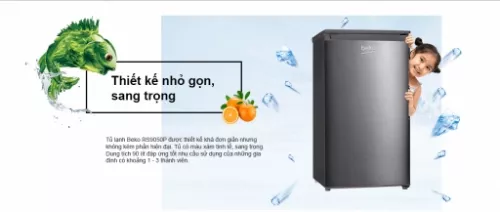 Tủ lạnh Beko RS9050P