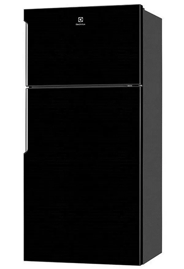 Tủ lạnh Electrolux ETB5400B-H