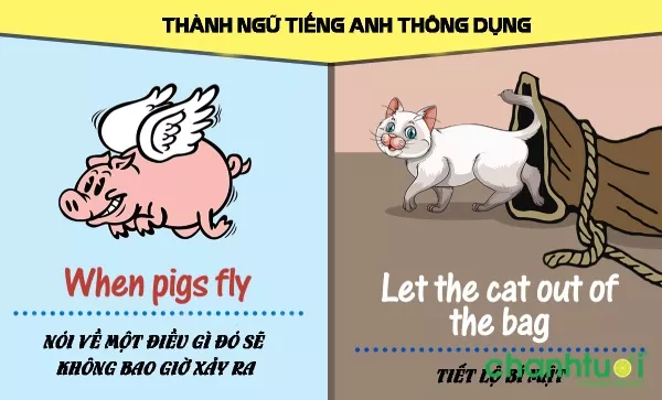 Tục ngữ tiếng Anh