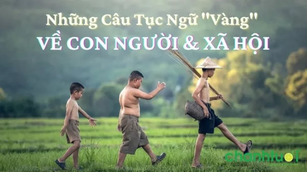 Tục ngữ về xã hội