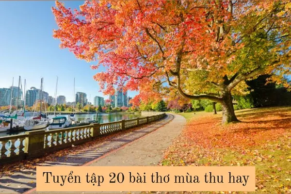 Tuyển tập 20 bài thơ về mùa thu hay và đặc sắc trong những ngày thu