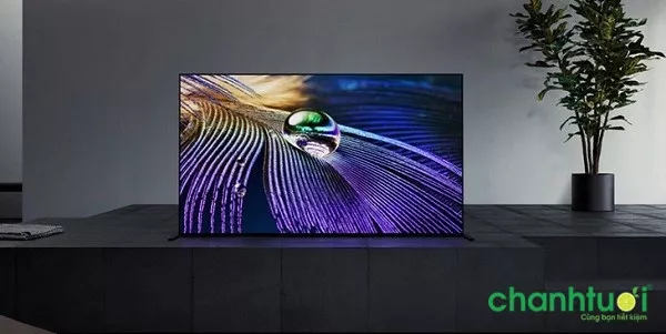 Ứng dụng của màn hình OLED