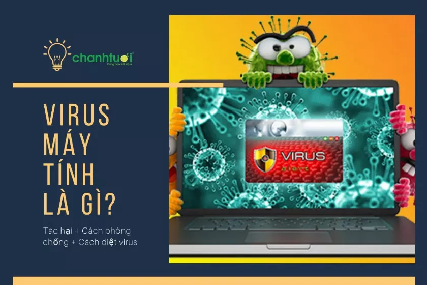 Virus máy tính là gì: tác hại và cách phòng chống virus