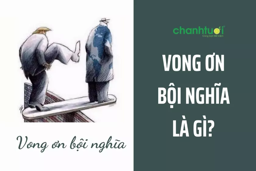 Vong ơn bội nghĩa là gì? Vong ơn hay Vong ân bội nghĩa?