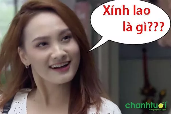 Xính lao là biệt danh của Thư trong về nhà đi con