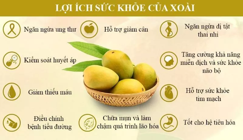 Xoài mang lại nhiều lợi ích cho sức khỏe