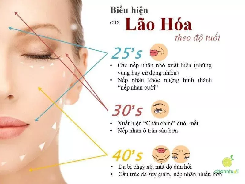 dấu hiệu lão hóa da 1