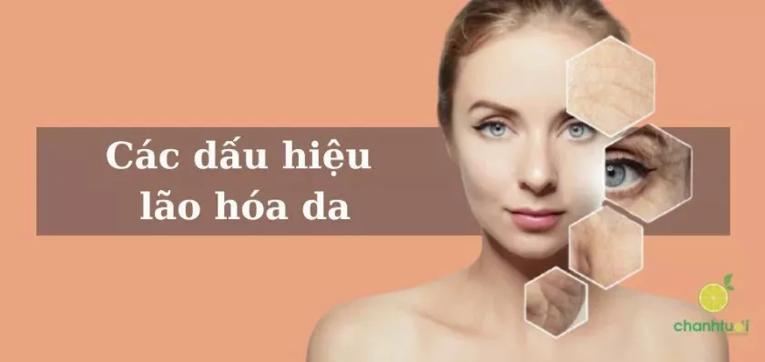 dấu hiệu lão hóa da