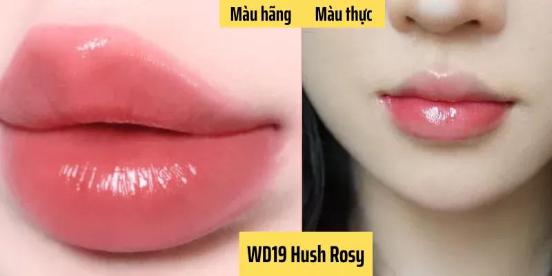 Hồng sữa ngọt ngào WD19