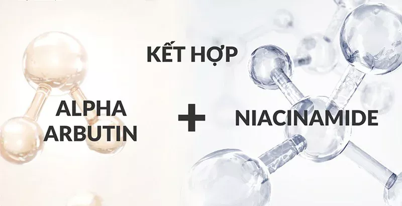 Quy trình kết hợp Alpha Arbutin và Niacinamide