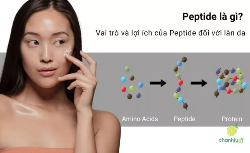 Tác dụng của Peptide