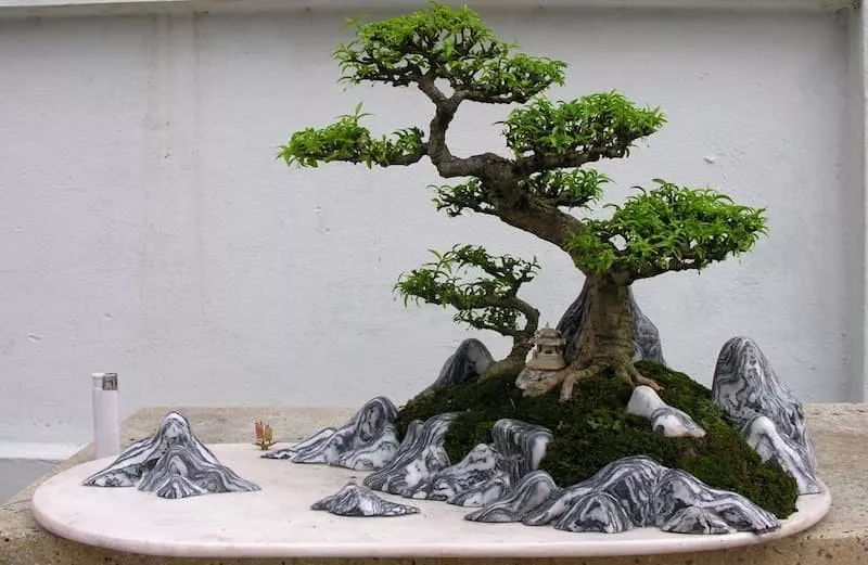 Hòn non bộ mini