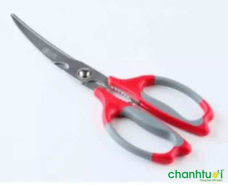 Kéo cắt gà Nikken 25cm