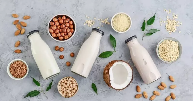 Máy làm sữa hạt Bear tiện lợi