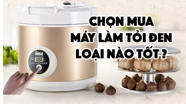 Máy làm tỏi đen