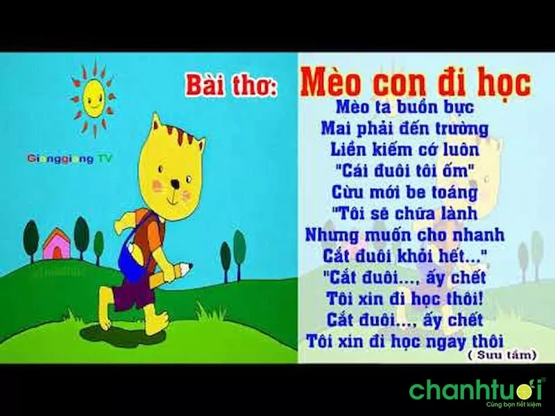 Mèo con đi học