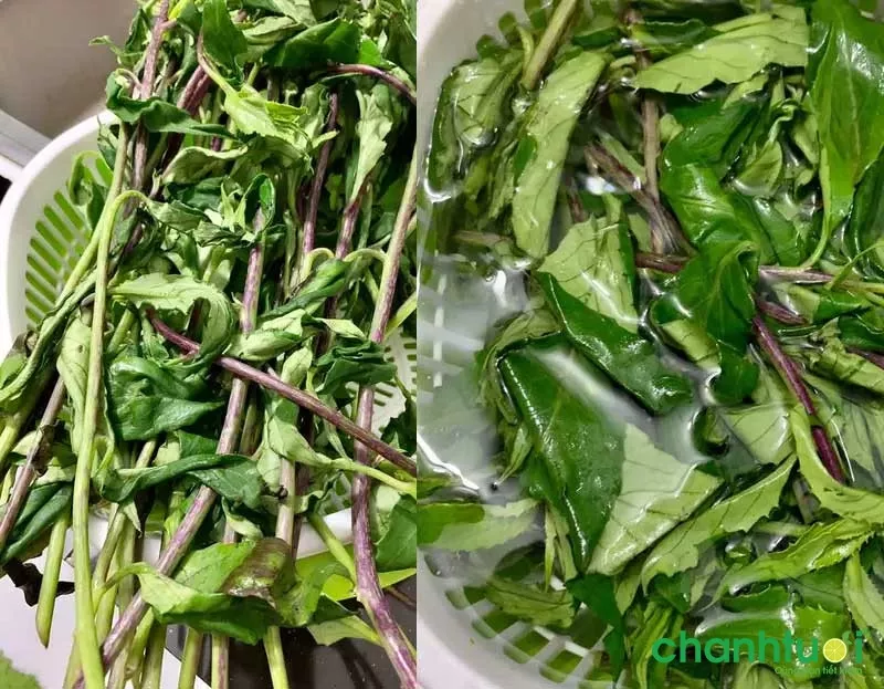 Rau lủi sau khi nhặt và rửa sạch